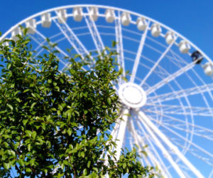 Wheel Of Szczecin