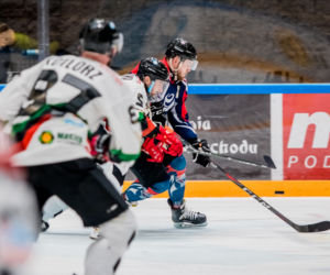 GKS Tychy - KH Energa Toruń, pierwszy ćwierćfinał PLH - zdjęcia z meczu