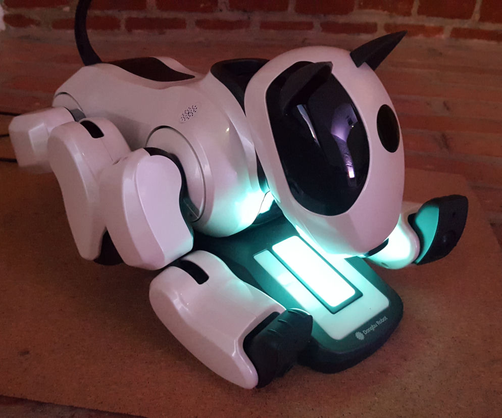 Robopies zaprasza do Centrum Hewelianum