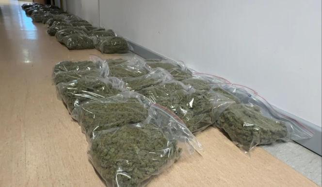 Człowiek bez tożsamości, kilogramy narkotyków i luksusowe fury. Szybko zrzedła mu mina