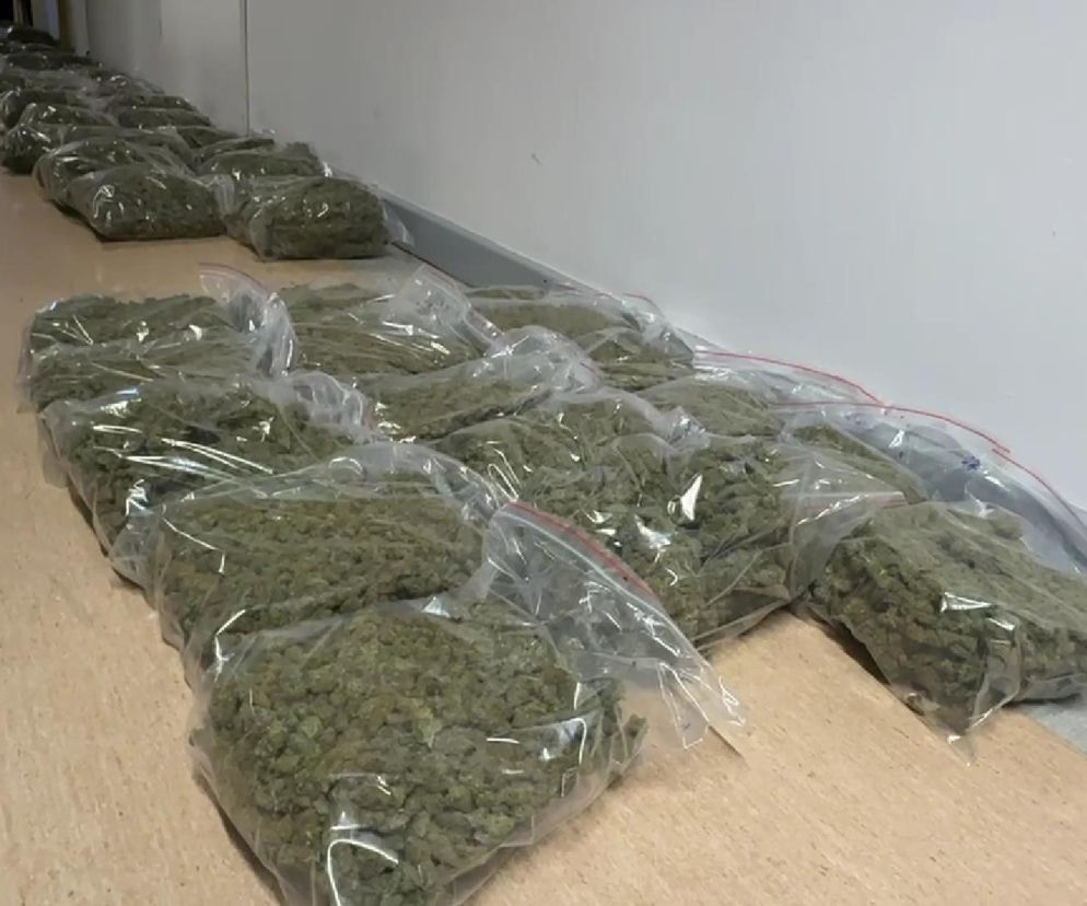 Człowiek bez tożsamości, kilogramy narkotyków i luksusowe fury. Szybko zrzedła mu mina