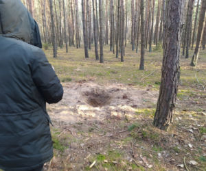 Chłopak zamordował Anię w lesie