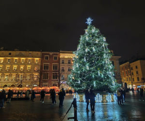 Krakowska choinka znów najpiękniejsza na świecie? Miasto wydało fortunę na iluminacje!