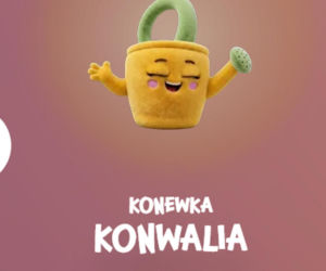 Gotowi na nową przygodę? Gang Zaradniaków już czeka w Biedronce
