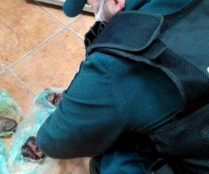 Podlaskie. Białorusin chciał leczyć kolegę w Polsce... gruczołami bobra