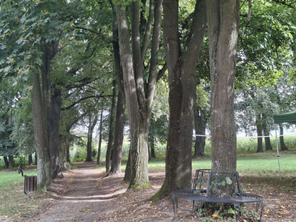 Chocimów. Aleja Grabowa