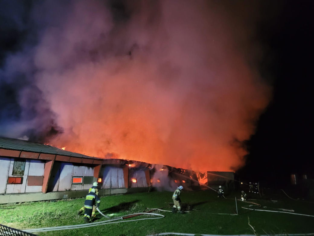 Pożar w Glinicy. Spłonęło 20 tysięcy kurcząt