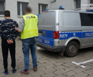 29-latek potrącił dwóch policjantów