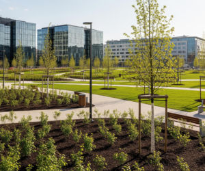 Zielona rewolucja w centrum Warszawy. Co naprawdę oznacza dla kierowców?