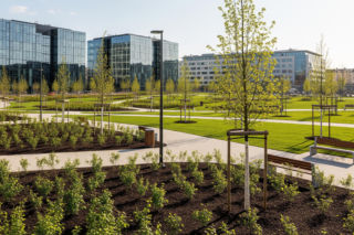 Zielona rewolucja w centrum Warszawy. Co naprawdę oznacza dla kierowców?