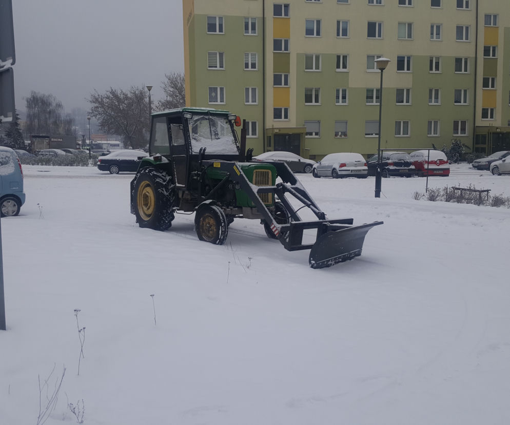W Bydgoszczy znów prószy śnieg