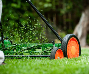 Ręczna kosiarka bębnowa