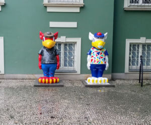 Gryfusy w Szczecinie