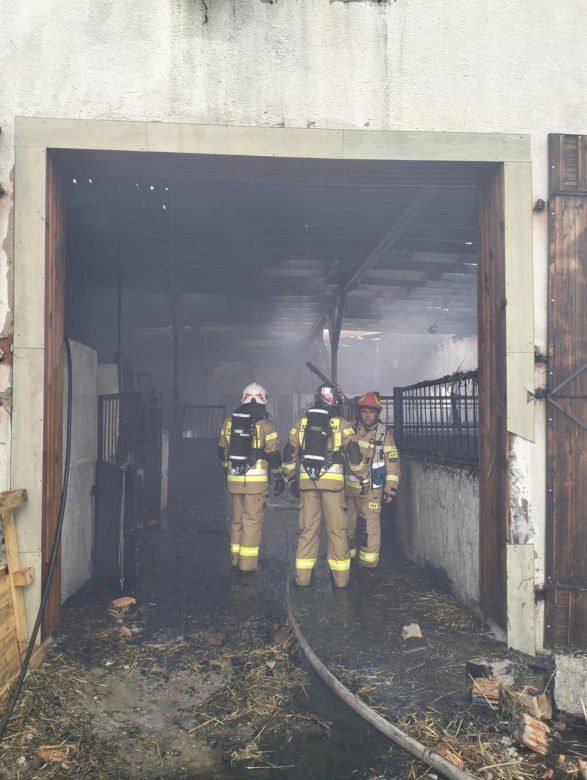 Pożar stadniny koni w Bronkowie pod Krosnem Odrzańskim 