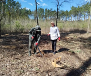 W Lesie Sekulskim rośnie już kilkaset nowych, młodych buków! Drzewa zasadzili członkowie siedleckiego samorządu i leśnicy