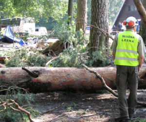 Dobrocin. Trąba powietrzna przeszła przez obóz harcerski. Ewakuowano prawie 200 osób [ZDJĘCIA]