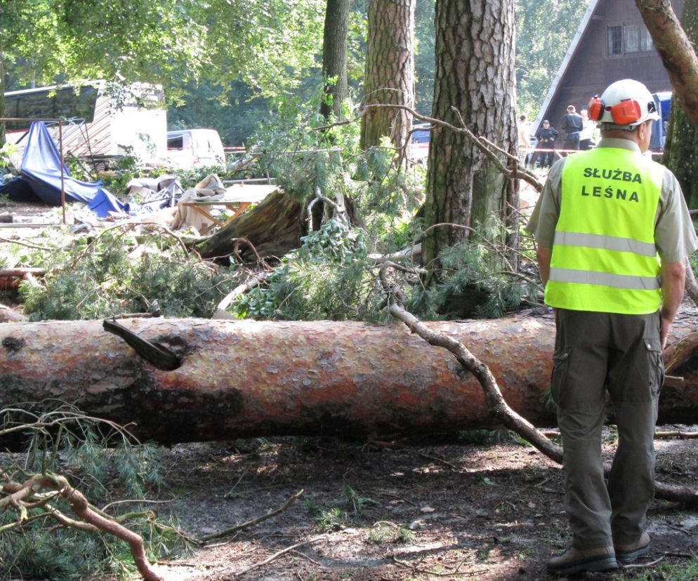 Dobrocin. Trąba powietrzna przeszła przez obóz harcerski. Ewakuowano prawie 200 osób [ZDJĘCIA]