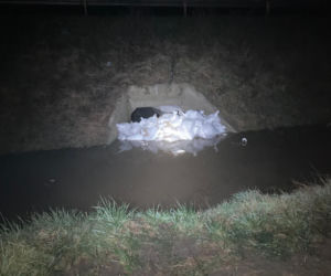 Opole: Fala wezbraniowa na Odrze. Podtopienia w Czarnowąsach, Wróblinie i Opolu