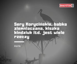 Z czego słynie woj. podlaskie? Odpowiedzi Internautów