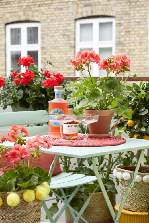 Pelargonie na balkonie