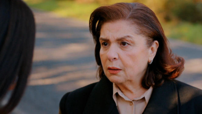 Miłość i nadzieja, odc. 376. Bahar, Naciye