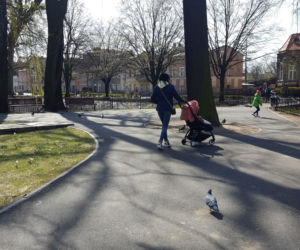 Kończy się czwarty etap rewitalizacji parku na Pl. Kościuszki w Lesznie