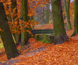 Park Oruński.