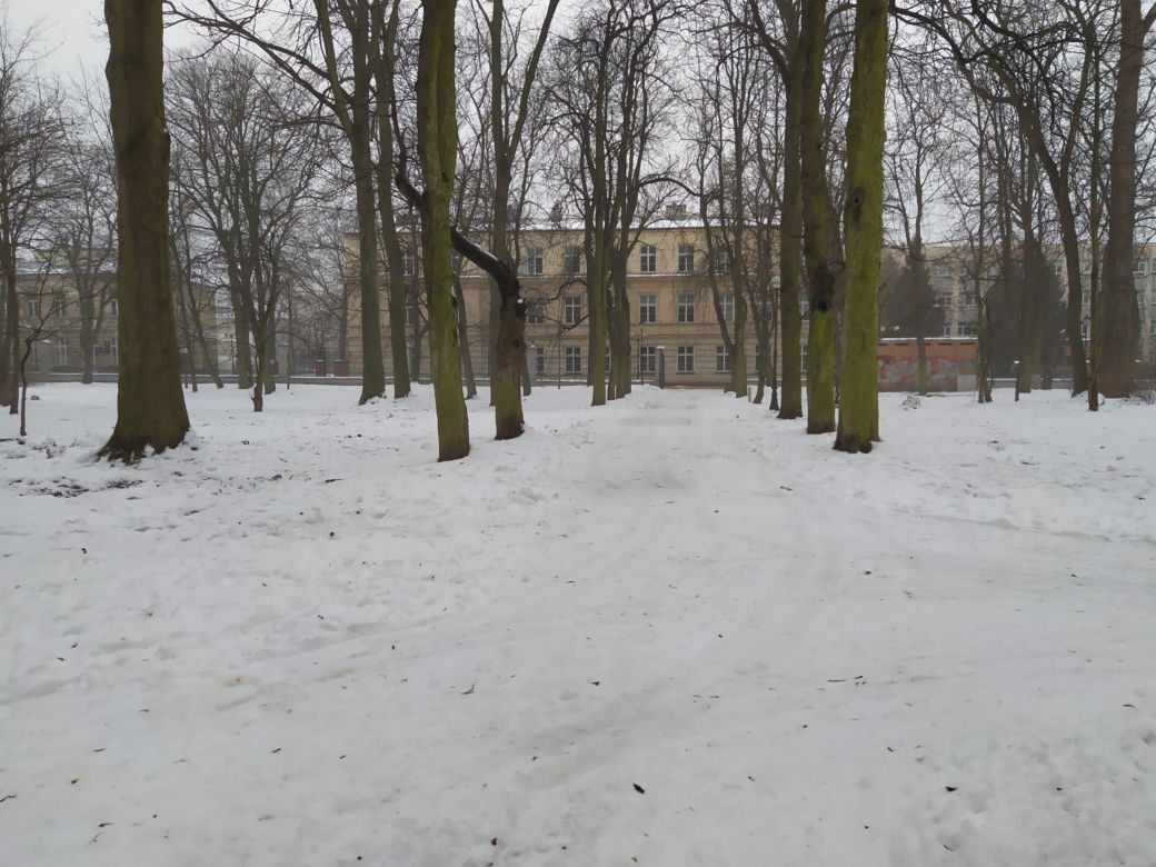 Gdzie mieścił się kiedyś letni teatr? Siedlecki park Aleksandria sto lat temu i w pierwszym tygodniu stycznia 2021: