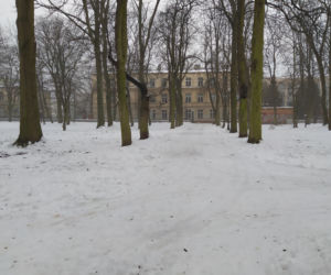 Gdzie mieścił się kiedyś letni teatr? Siedlecki park Aleksandria sto lat temu i w pierwszym tygodniu stycznia 2021: