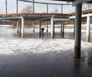 Rybi dramat w Białymstoku. Tysiące martwych ryb pod lodem