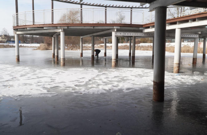 Rybi dramat w Białymstoku. Tysiące martwych ryb pod lodem