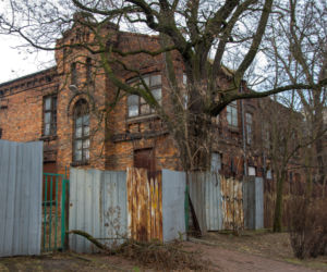Drucianka w Warszawie