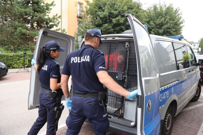 Tragiczny wypadek w Zadrożu. W miejscu potrącenia 15-latka płoną znicze