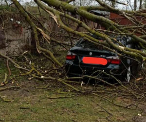 Powiat siedlecki: liczne interwencje strażaków w związku z wichurą