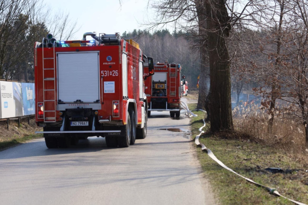 Pożar w Lubajnach pod Ostródą! Ogień zagraża schronisku dla zwierząt. Psy ewakuowane!