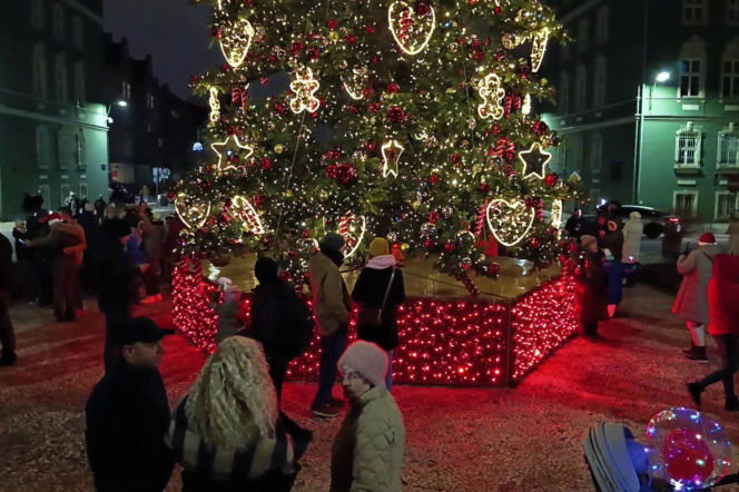 Choinka przed urzędem miasta w Szczecinie