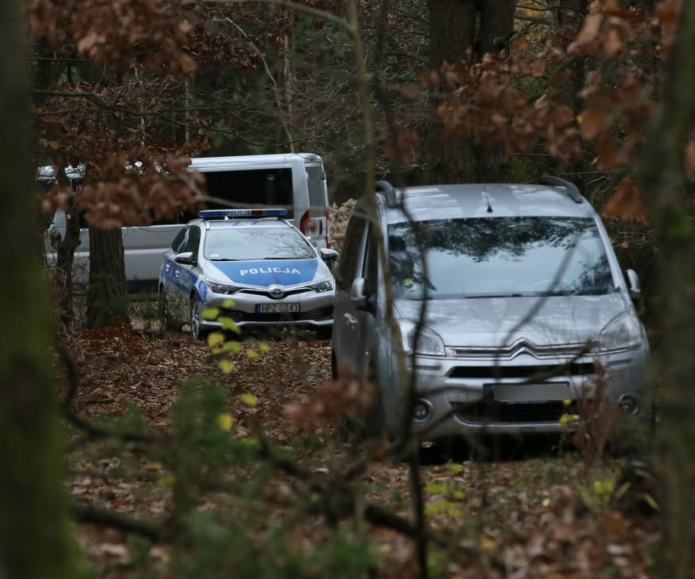 Porażające odkrycie pod Tłuszczem. Nagie zwłoki kobiety znalezione w lesie