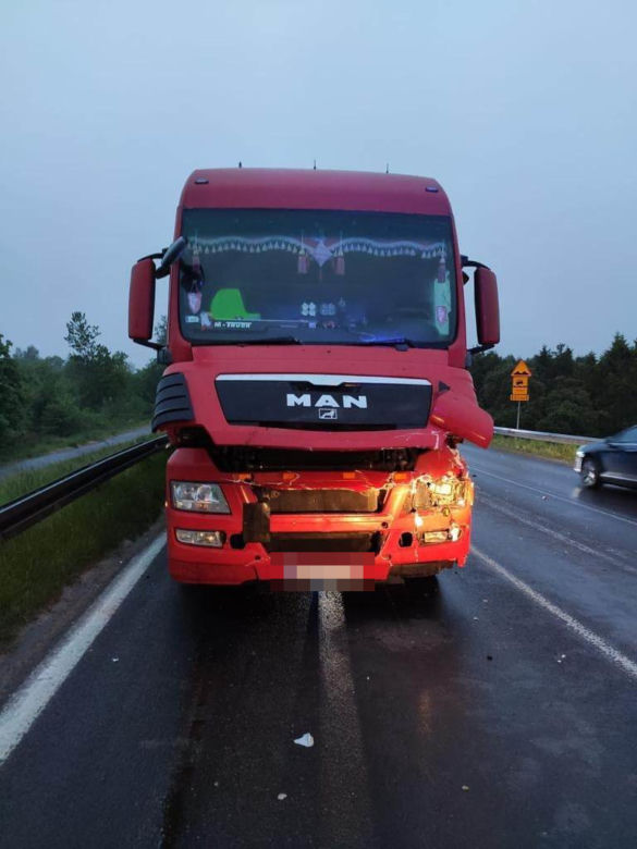 Dwa konie zginęły pod kołami ciężarówki