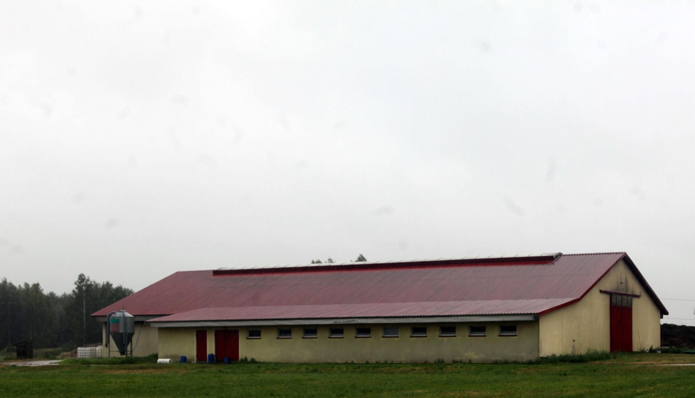 Cała wieś płacze po dekarzu Łukaszu. Zginął w pracy spadając z dachu
