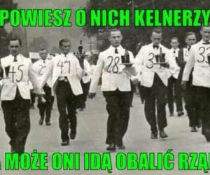 Afera taśmowa - memy