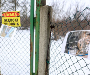 Miał być protest milczenia, doszło do awantury. Gorąco pod schroniskiem w Bytomiu
