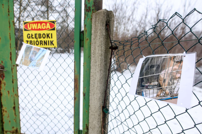 Miał być protest milczenia, doszło do awantury. Gorąco pod schroniskiem w Bytomiu