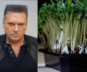 Rzeżuchy które wyglądają jak Krzysztof Rutkowski i jego legendarne fryzury