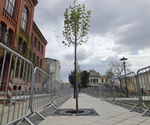 Nowe oblicze placu Wolności. Kwiaciarnie już zamontowane, koniec prac coraz bliżej