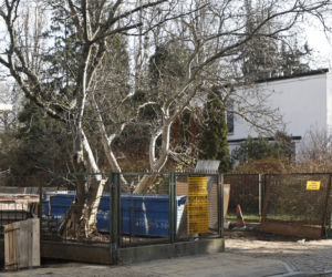 Wiercą Kaczyńskiemu za ścianą