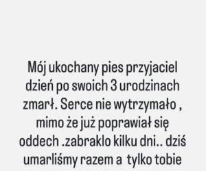 Oświadczenie Dody