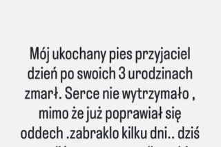 Oświadczenie Dody