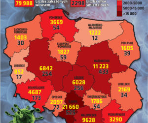 Koronawirus w Polsce. Statystyki, wykresy, grafiki: 21.09.2020