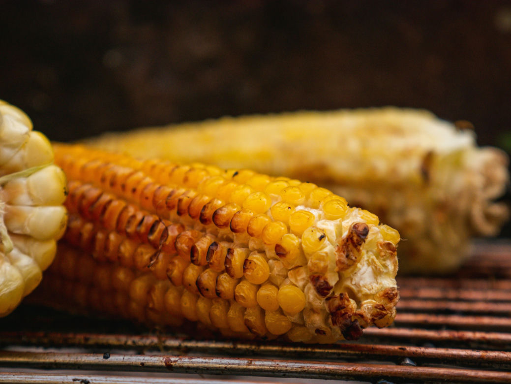Grillowana kukurydza
