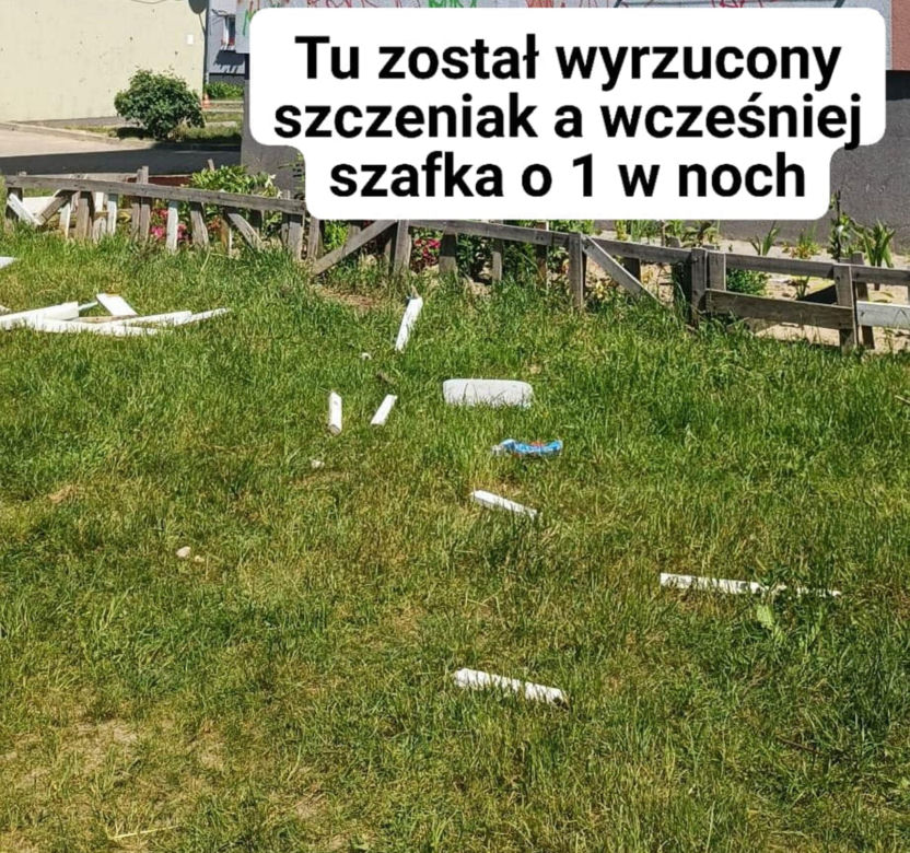 Zwyrodnialcy wyrzucili psa przez okno! Szczeniak walczy o życie. "Mieszkańcy płakali, zdając nam relację"